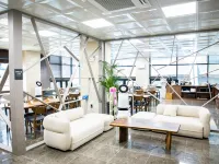 Hotel Fox Arthall Hotels in Daegu