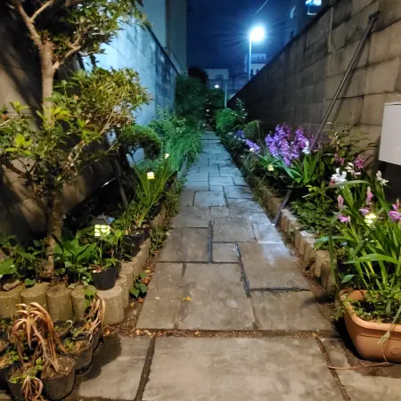 Camellia Guest House
