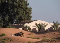 l' OASIS Zarga - Wi-Fi