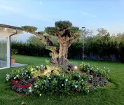 Hotel Ohana Rome - 新規開業