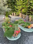 360 Black Cabin-Mountain View & Warm Mineral Pool -  case vacanza in affitto