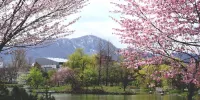 Park Avenue Nakajima - balcony