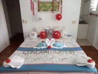 The Ideal Bed & Breakfast