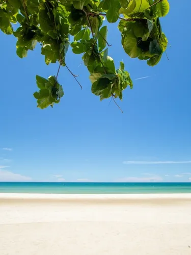 รูปภาพของหาดทรายขาวรีสอร์ท