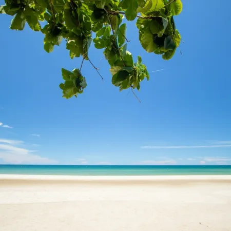 WHITE BEACH RESORT