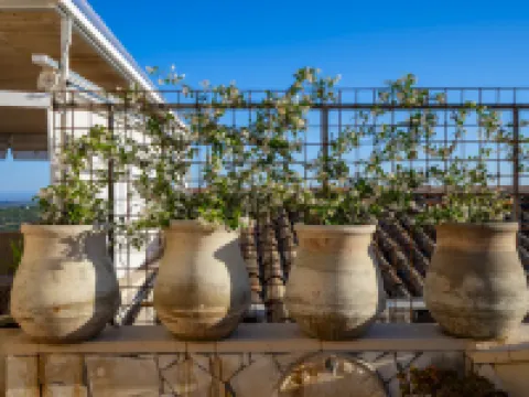 Panorama Suites Noto - Adults Only Hoteles en Noto