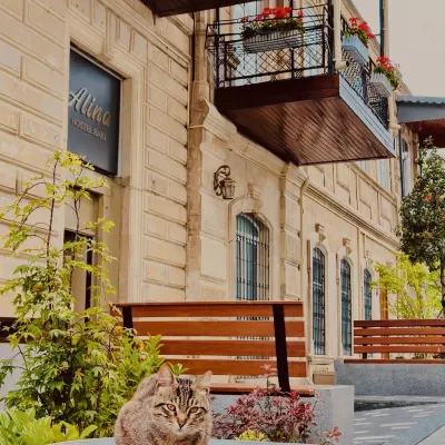 Alina Home Baku hostel 尼扎米附近的飯店