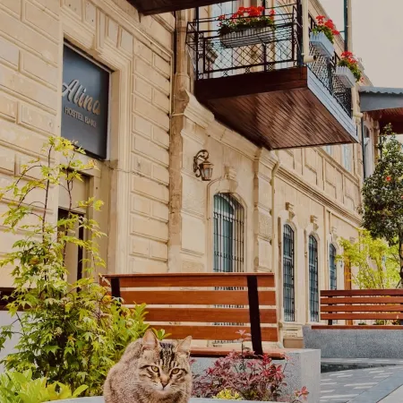 Alina Home Baku hostel Отели рядом с достопримечательностью «Площадь Свободы»