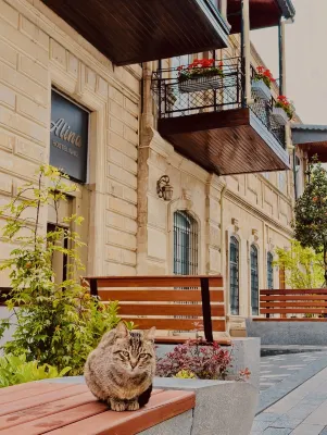 Alina Home Baku hostel
