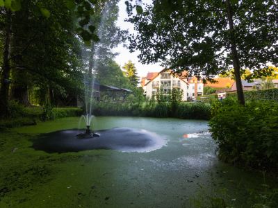 Hotel & Restaurant Am Alten Rhin