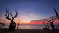 White House Beach Camping Caravans