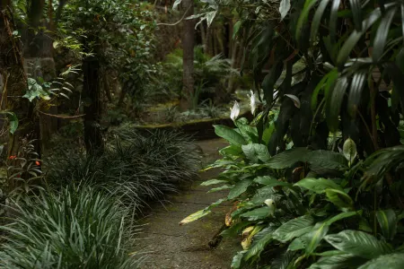 Puri Alam Bali Отели рядом с достопримечательностью «Бали»