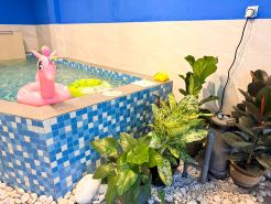 Ipoh Indoor Pool House | BBQ • Mahjong | 16 people