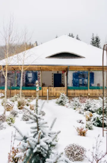 Casuta cu Maci Hotels in 