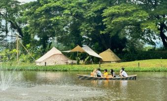 ThamMaChatPhan FARM