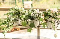 VILLA KURTULDU Hotels in Gemlik