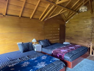 Tree Cabin Dieng