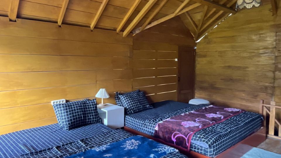 Tree Cabin Dieng