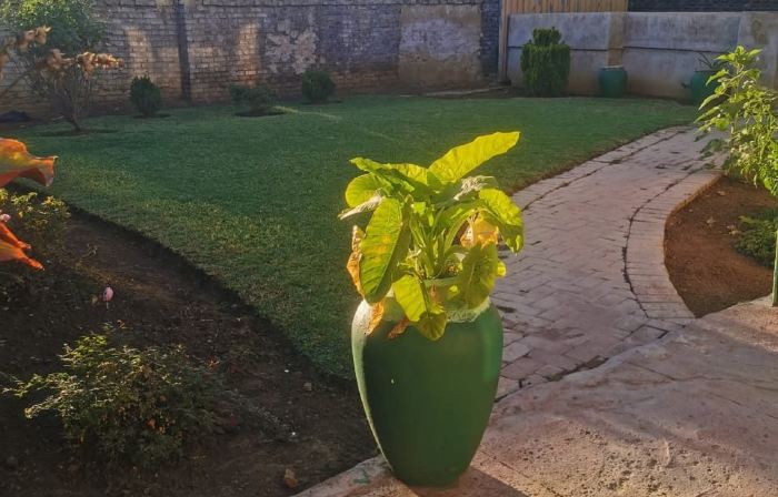 0787391431 Golden Gate Guest House In Mafikeng