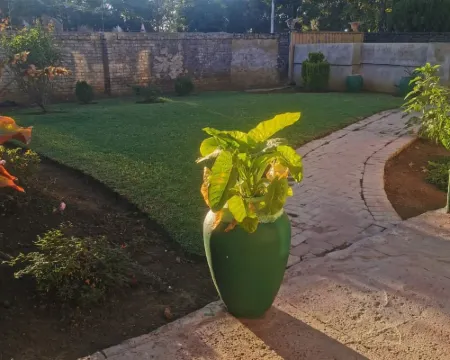 ゴールデンゲート ゲストハウス 0787391431 マフィケングのホテル