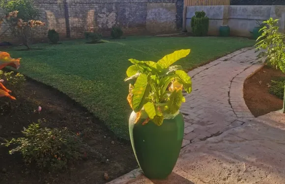 金門賓館 0787391431