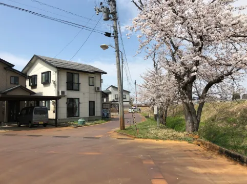 鬥牛錦鯉傳統文化之家