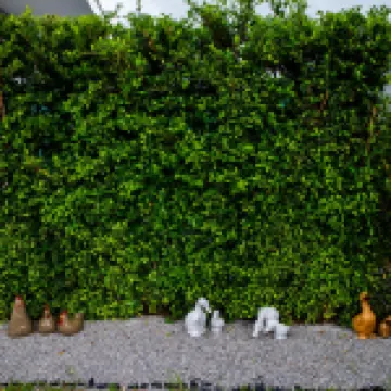 วิลล่า15 หัวหิน โรงแรมใกล้Monsoon Valley Vineyard