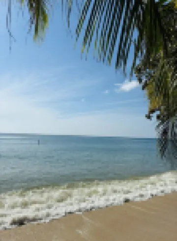 Lamai Beachnest Bungalows