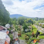 Inn Train Camping  Wangnamkeaw - Homestays