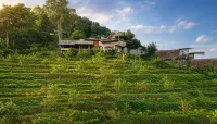 Sapue Chiangmai - 2-Star