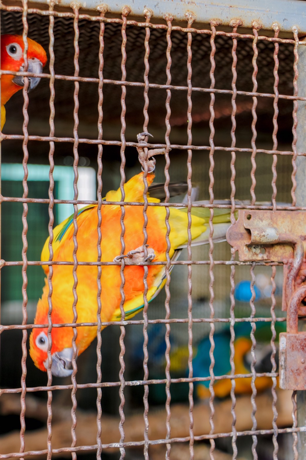 The Light House Resort Kohlarn in Ko Lan 2024 Updated prices, deals