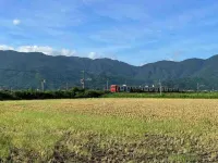 Entire private house near surrounded by rice field