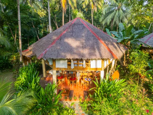 Water to Forest Ecolodge Hotels in Loboc