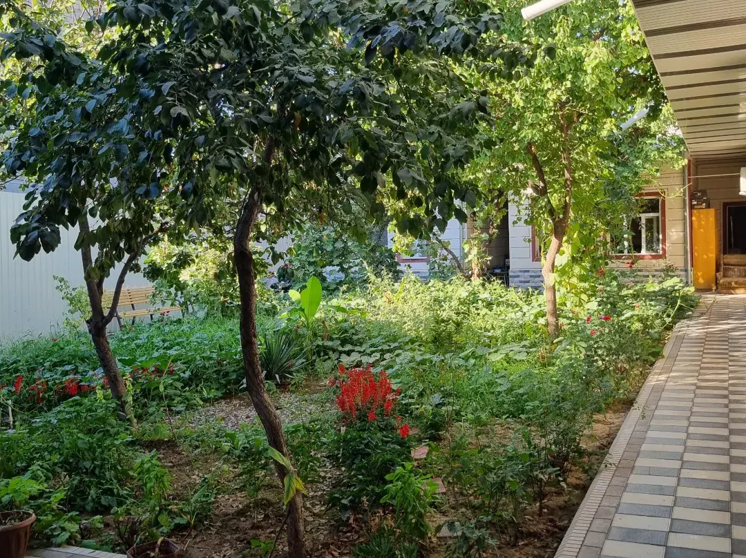 Zamin Hostel And Guest House - Tashkent