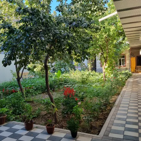 Zamin Hostel and Guest House
