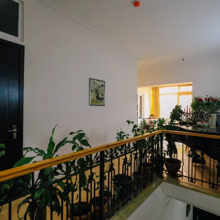 Tamarisi Old Tbilisi