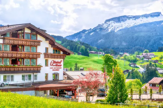 Ski- Und Aktivhotel Almhof Rupp Hotels in Mittelberg