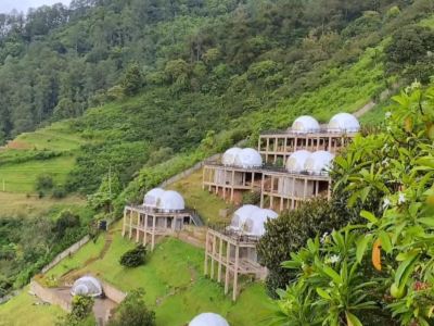 Damar Langit Resort