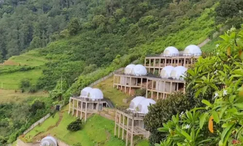 Damar Langit Resort