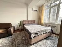 City Apartments Umetaliev 113 - Homestays