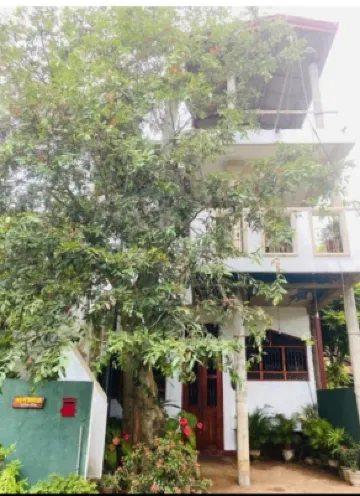 Harbour Bay Anex Tangalle