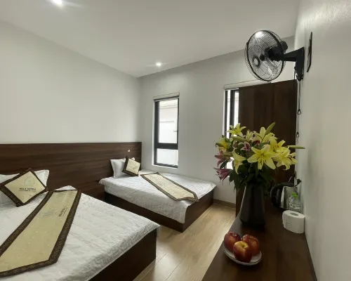 Hola Hotels Mong Cai Hotels in Mong Cai