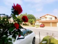 Rowlandheights classic house -  Casas de vacaciones