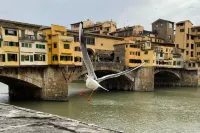 Appartamenti d'epoca nel centro di Firenze