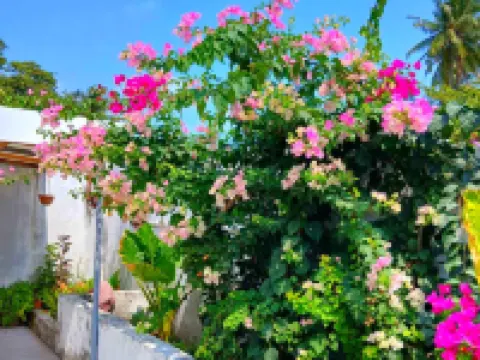 Blue Haven Retreat Hotels in Thulusdhoo