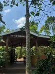 Little Monkey Camp - bar