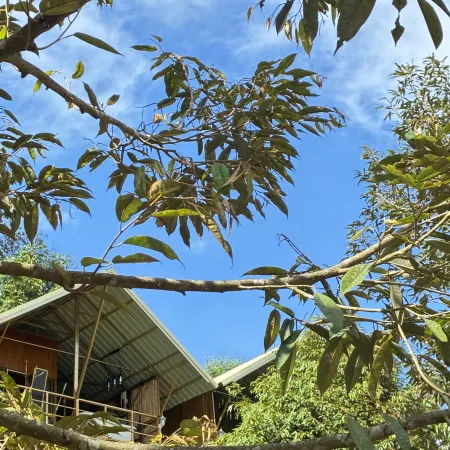 MAKA FARMSTAY