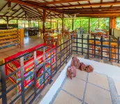 Hotel Colinas del Sol - Pet friendly