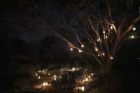 Ceylon Wild - منازل