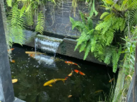 MOZA HOUSE Wonosobo โรงแรมในโวโนโซโบ